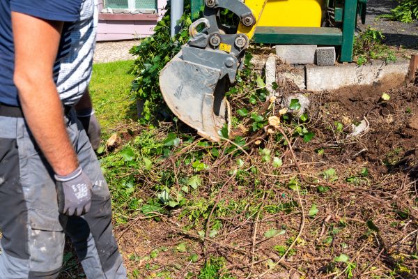 Hedge Removal Service in Folsom