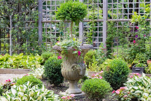 Topiary Pruning in Folsom