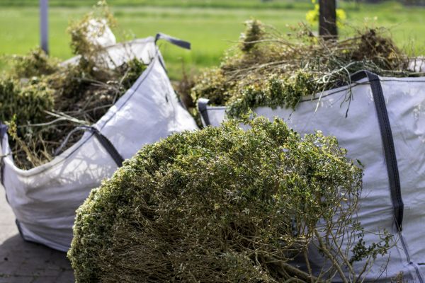 Shrubs Removal in Folsom