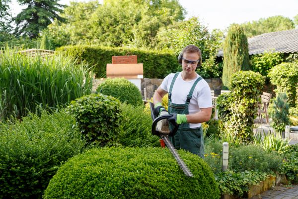 Shrubs Trimming in Folsom